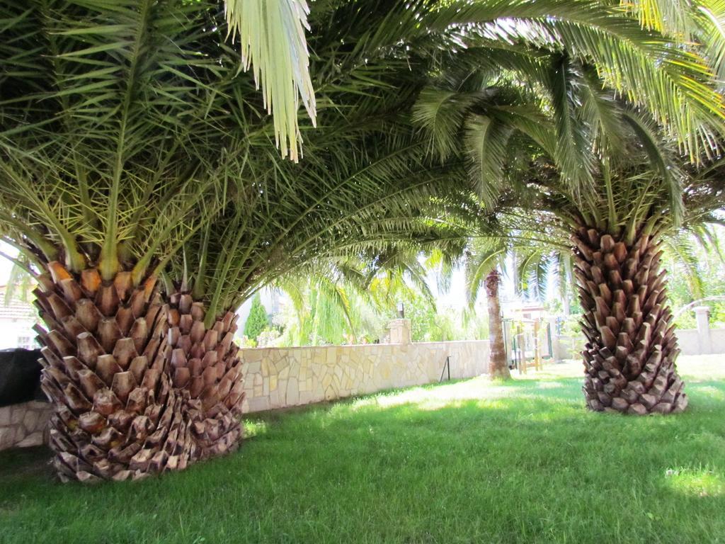 Dalyan Palmiye Resort Hotel Экстерьер фото